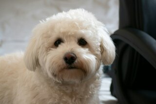 Original photo of Cloud